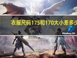 衣服尺码175和170大小差多少