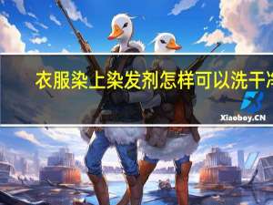 衣服染上染发剂怎样可以洗干净
