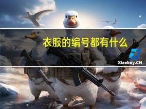 衣服的编号都有什么