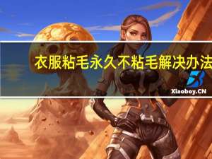 衣服粘毛永久不粘毛解决办法