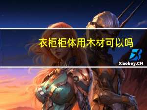 衣柜柜体用木材可以吗
