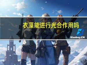衣藻能进行光合作用吗