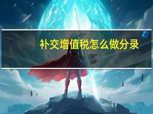补交增值税怎么做分录