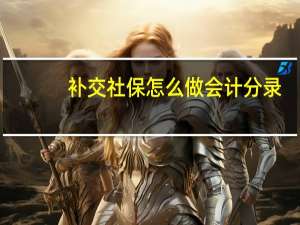 补交社保怎么做会计分录