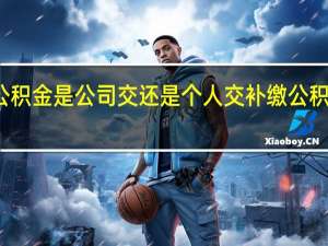 补充公积金是公司交还是个人交　补缴公积金怎么操作