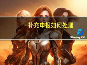 补充申报如何处理