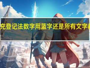 补充登记法 数字用蓝字还是所有文字都用蓝字