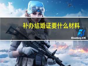 补办结婚证要什么材料