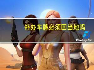 补办车牌必须回当地吗