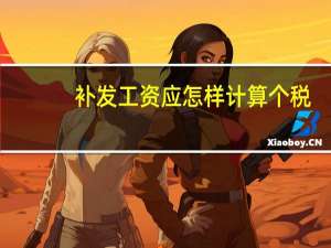 补发工资应怎样计算个税