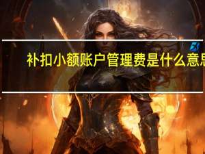 补扣小额账户管理费是什么意思