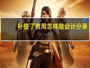 补提了费用怎样做会计分录