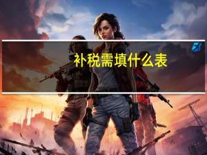 补税需填什么表