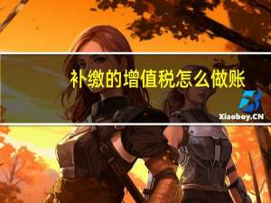 补缴的增值税怎么做账