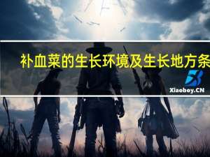 补血菜的生长环境及生长地方条件