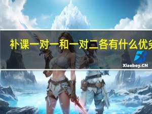 补课一对一和一对二各有什么优劣势