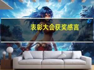 表彰大会获奖感言