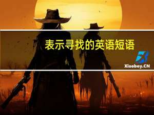 表示寻找的英语短语