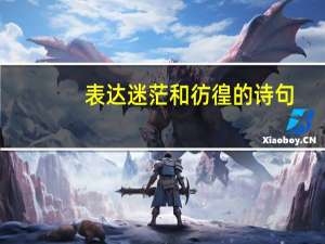 表达迷茫和彷徨的诗句