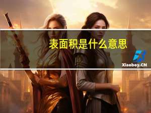 表面积是什么意思