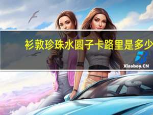 衫敦 珍珠水圆子卡路里是多少