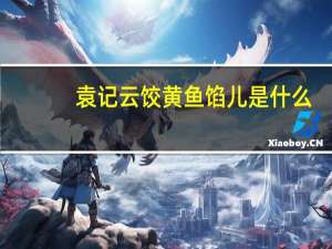 袁记云饺黄鱼馅儿是什么