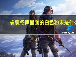 袋装冬笋里面的白色粉末是什么