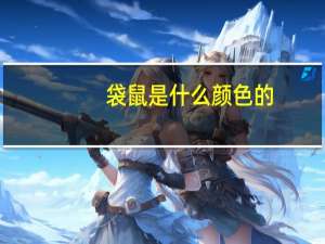 袋鼠是什么颜色的