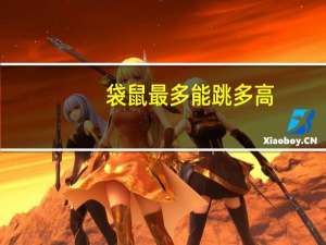 袋鼠最多能跳多高