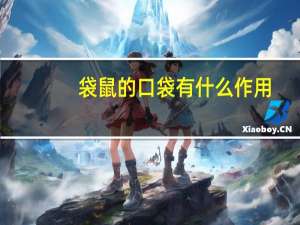 袋鼠的口袋有什么作用