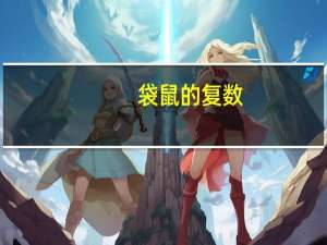 袋鼠的复数