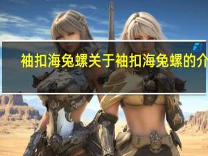 袖扣海兔螺 关于袖扣海兔螺的介绍