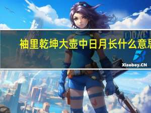 袖里乾坤大壶中日月长什么意思