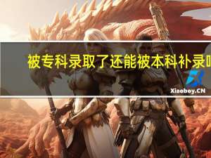 被专科录取了还能被本科补录吗