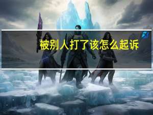 被别人打了该怎么起诉