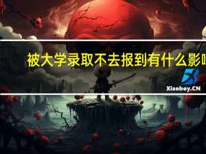 被大学录取不去报到有什么影响
