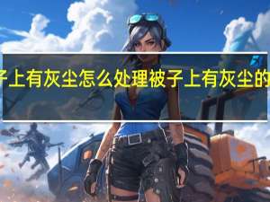 被子上有灰尘怎么处理 被子上有灰尘的处理方法