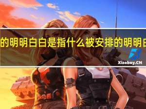 被安排的明明白白是指什么 被安排的明明白白是什么梗