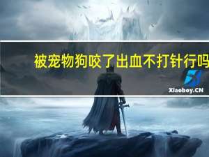 被宠物狗咬了出血不打针行吗
