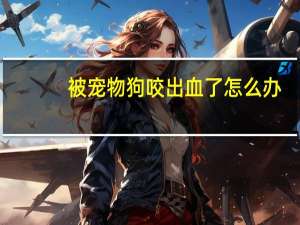 被宠物狗咬出血了怎么办