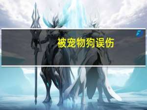 被宠物狗误伤