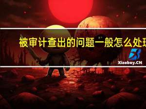 被审计查出的问题一般怎么处理