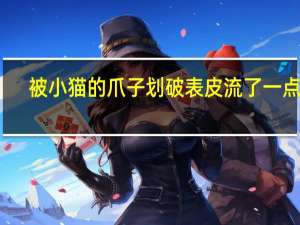 被小猫的爪子划破表皮流了一点血（被小猫的爪子划破表皮怎么办）
