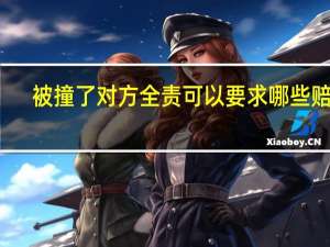 被撞了对方全责可以要求哪些赔偿