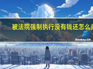 被法院强制执行没有钱还怎么办