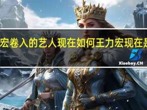 被王力宏卷入的艺人现在如何 王力宏现在是劣迹艺人吗