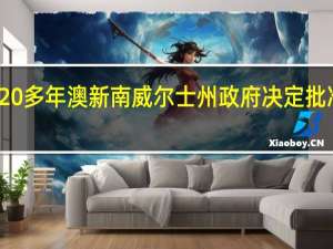 被禁止了20多年澳新南威尔士州政府决定批准空中射杀野马
