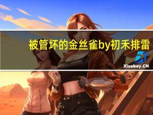 被管坏的金丝雀by初禾排雷（被管坏的金丝雀BY初禾TXT）