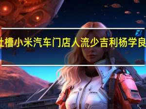 被网友质疑吐槽小米汽车门店人流少 吉利杨学良删除探店小米微博