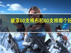 被罩60支棉布和80支棉哪个好